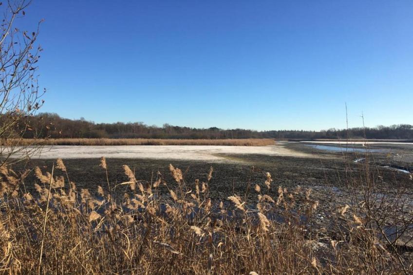 De Vrije Vogel - foto 33