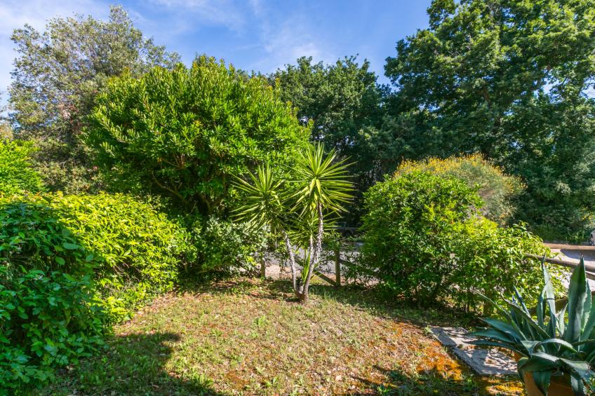 Il Castello - foto 34