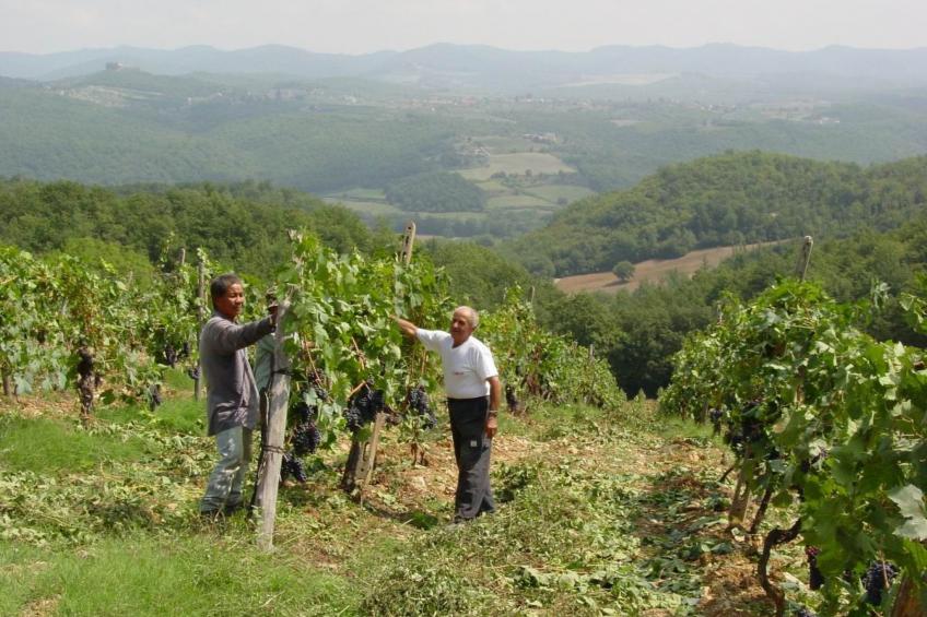 Schloss Selvole T6 - foto 14