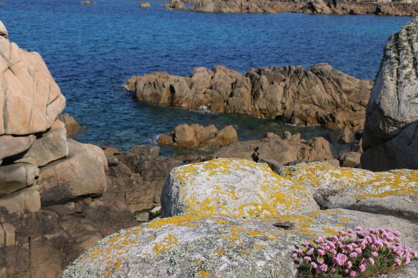 Kleines Studio auf dem Land für 2 Personen - foto 34