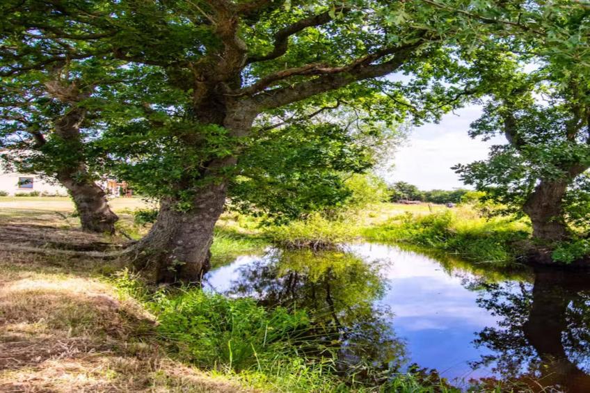 High Cloud Farm & Barn - foto 32