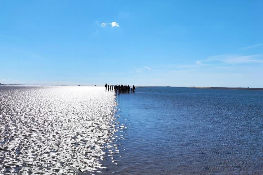 Ferienhaus Langeneß - foto 17