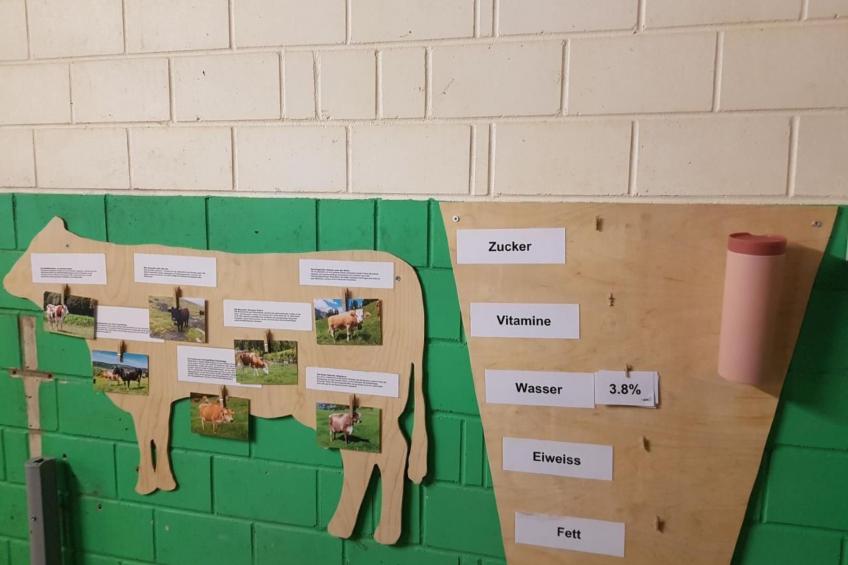 Ferien im Gugger - Wohnung Stockberg - foto 33