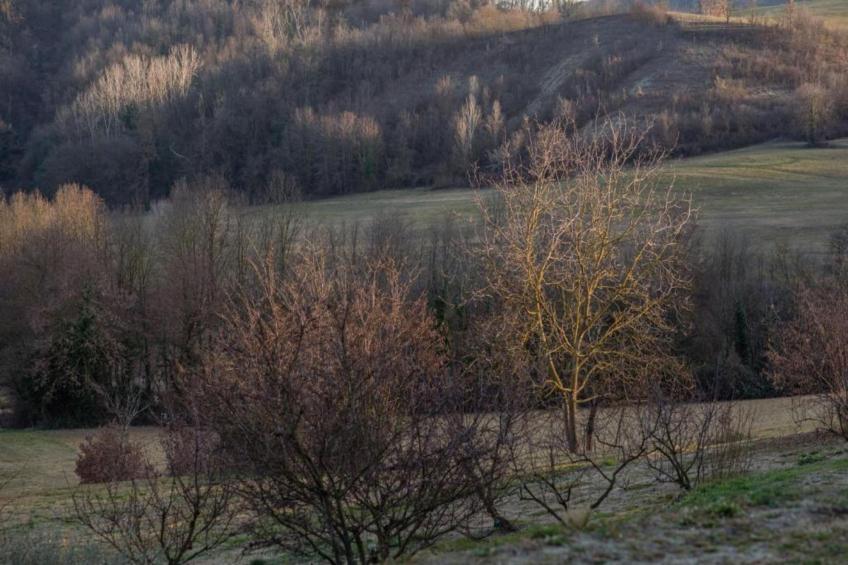 Castello di Robella - foto 35