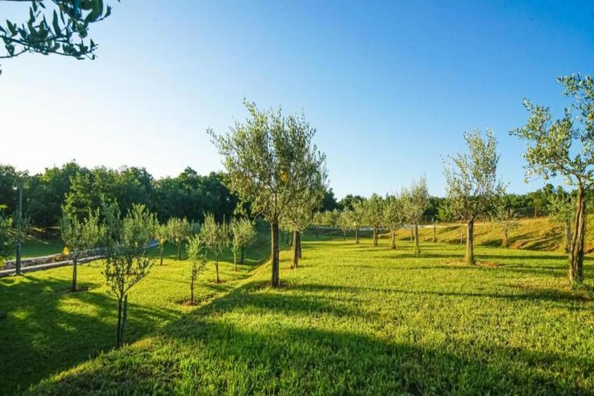 Villa Cristian - foto 37
