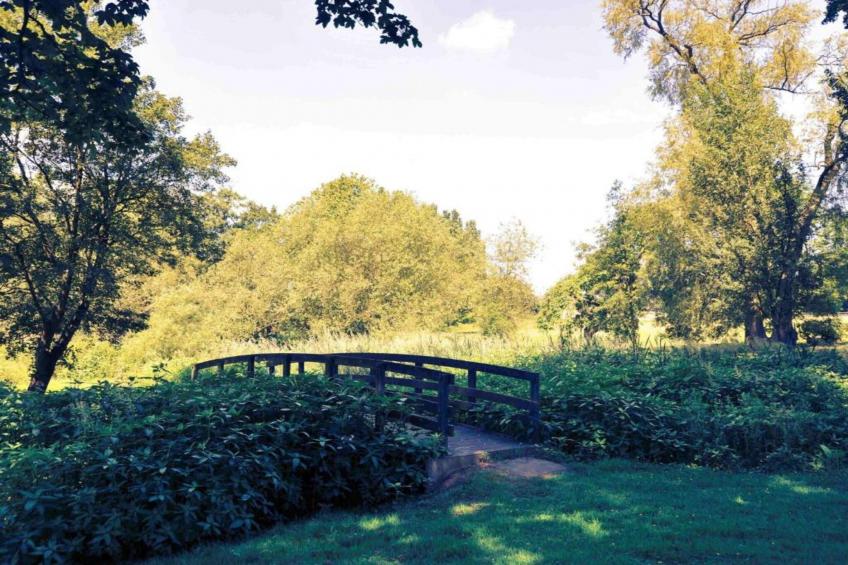 Mingle Dale - foto 26