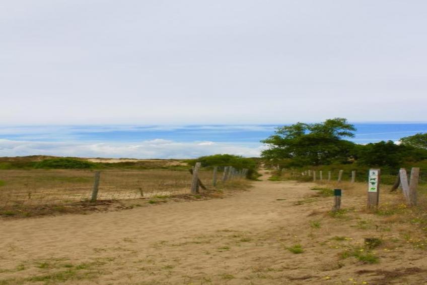 Villa Bos en Zee - foto 32