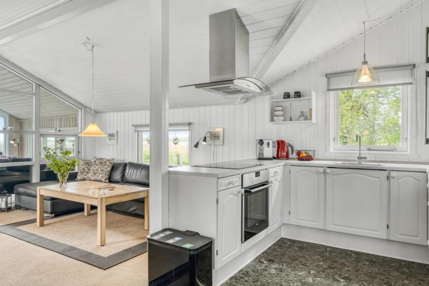 "Eske" - 200m to the inlet in The Liim Fiord - foto 9