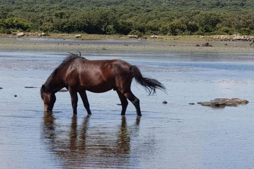 mit Wasserblick - foto 70