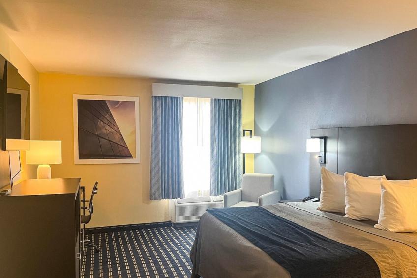 1 King Bed | Non-Smoking, Micfridge - foto 11