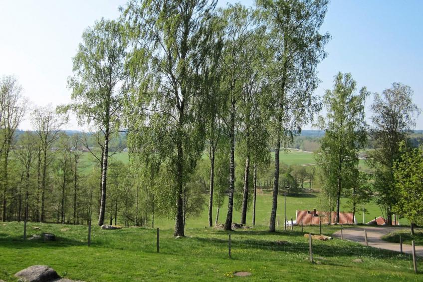 55763 - foto 13