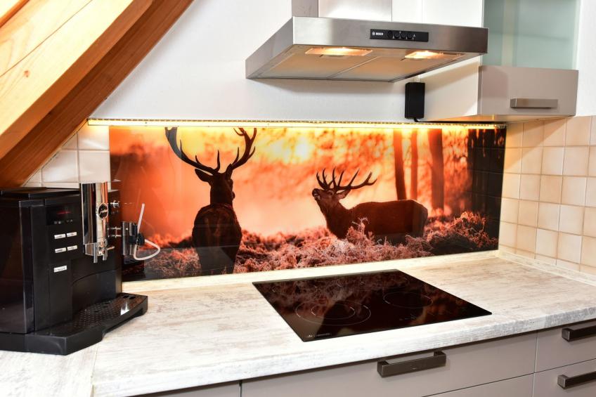 Apartment Black Forest Bollenhut Deluxe - foto 9