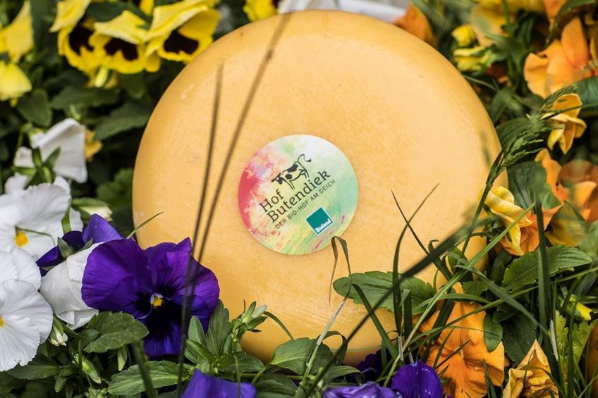 in Sehestedt mit Garten - foto 22