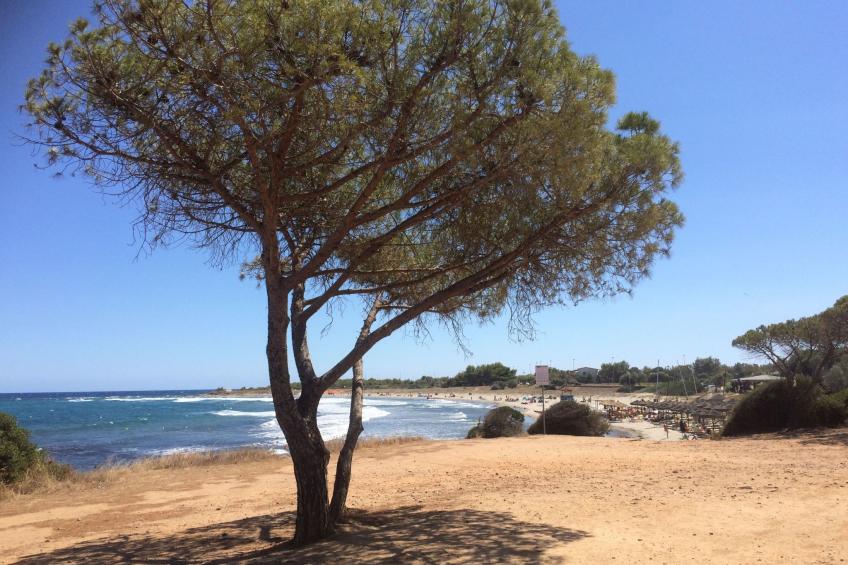 Gemütliches Ferienhaus mit Kamin in Porto Tramatzu - foto 27