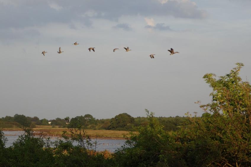 Urlaub am Meer im Ferienhaus mit Sauna - foto 6