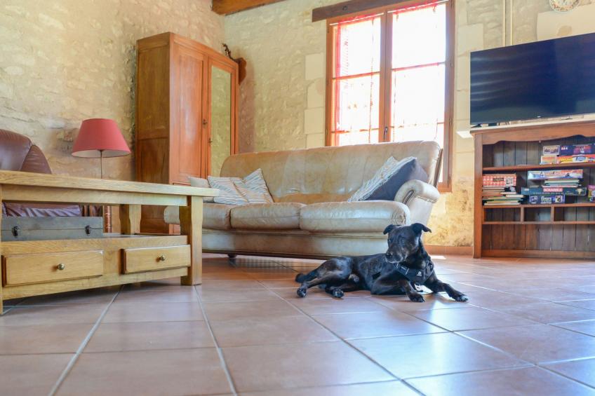 Der Ruf der freien Zone - foto 13