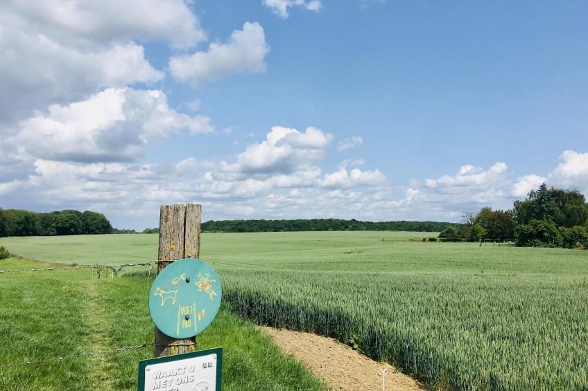 Logeren bij Laura - foto 24