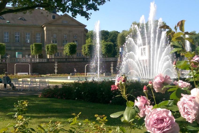 Apartment Gala, ruhige Lage, stadtnah - foto 24