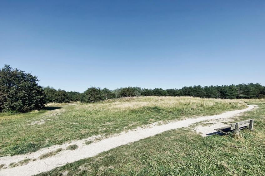 de Biotoop - foto 29