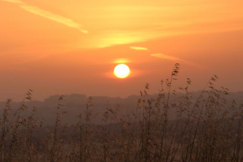 Ländlicher Tourismus - foto 18
