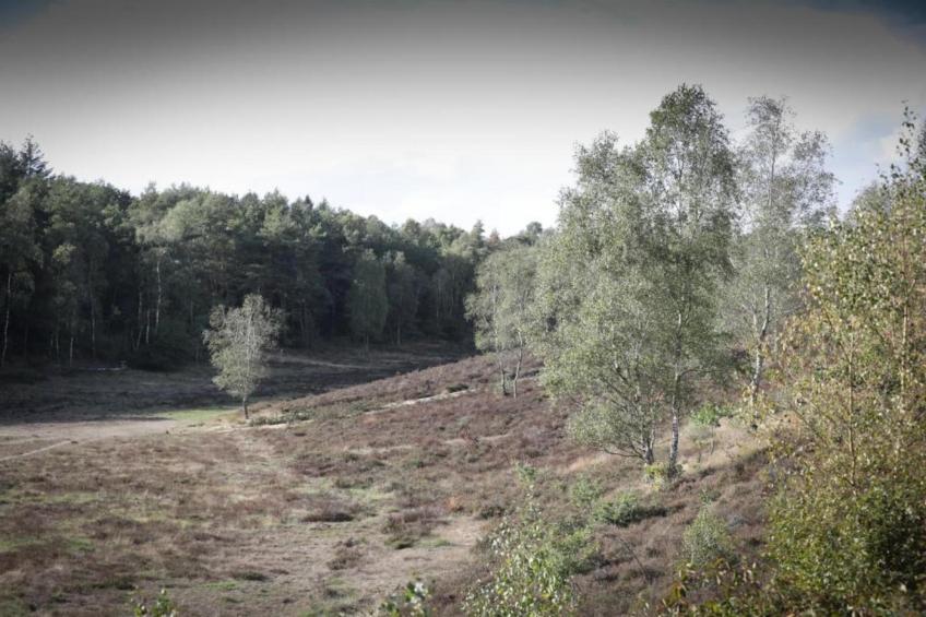 Vlindervallei Studio 2p - foto 20