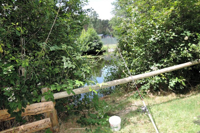 Pod świerkami pokój nr 6 dla 2 osób - foto 25