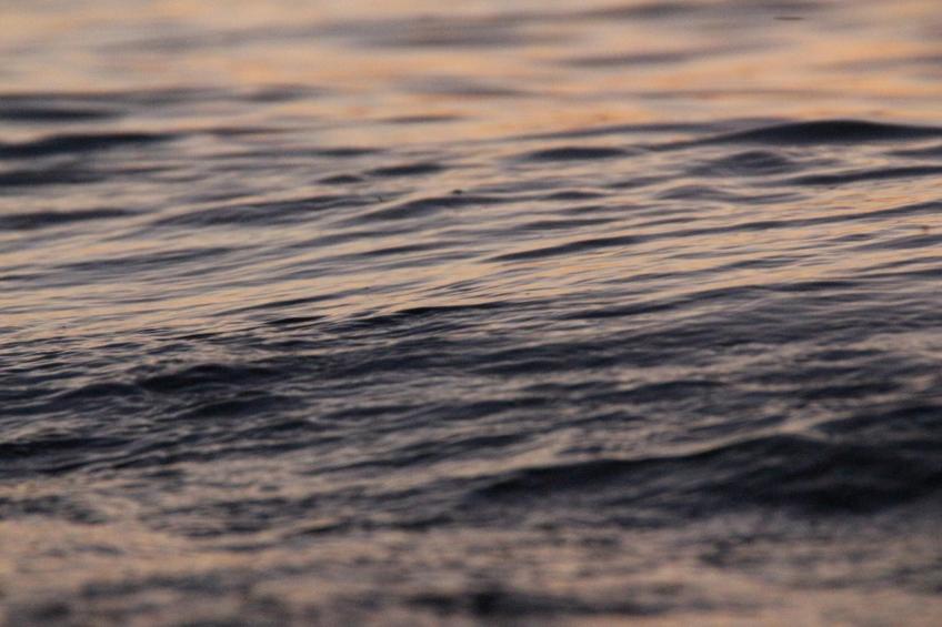 Inselhaus Piet auf der Insel Poel - foto 22