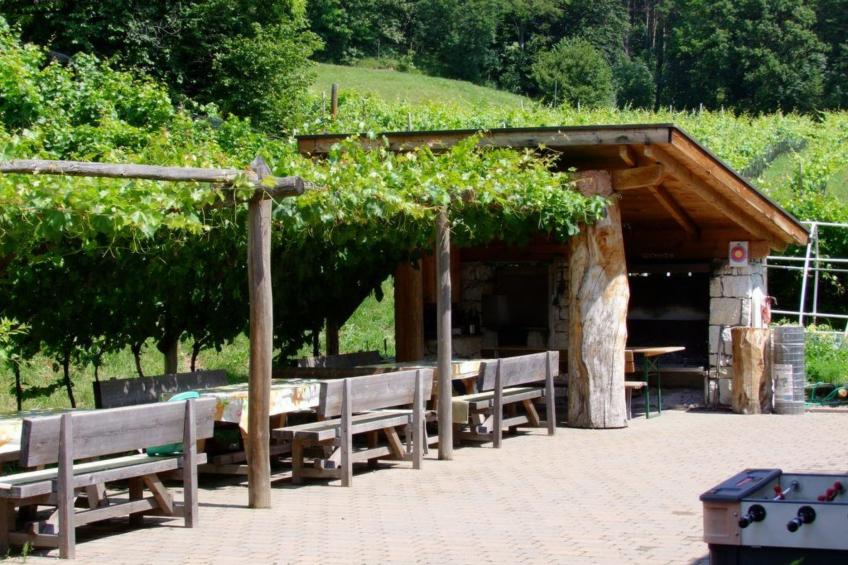 Kerschbamerhof Fewo Pink Lady mit Panoramablick - foto 21