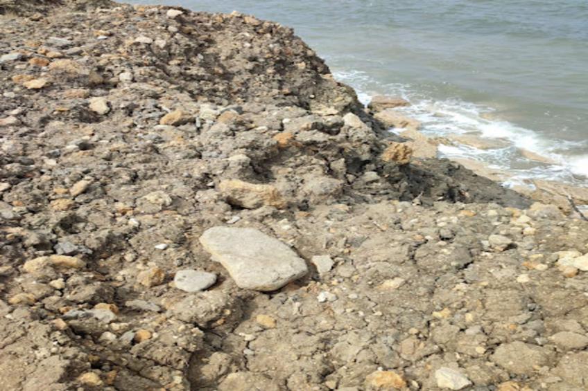 La Ferme de Deauville - maeva Home - foto 7