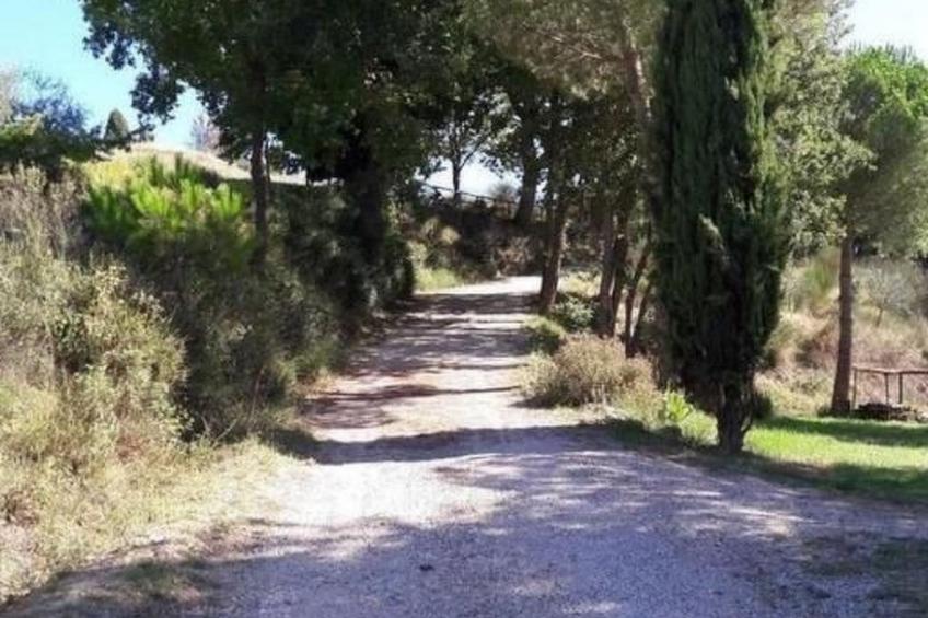 Haus Banditello, Blick auf das Tal von Montepulciano - foto 39