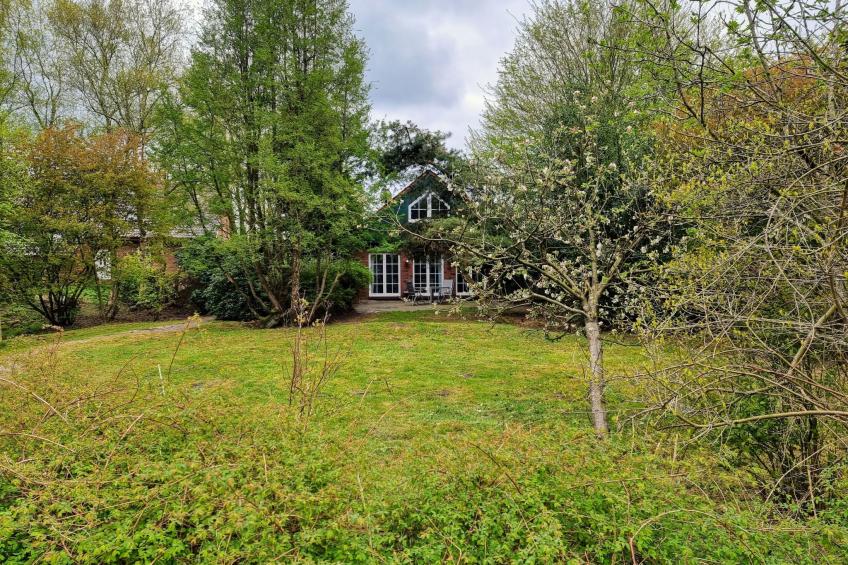 Urlaub auf dem Reithof mit Klavier - foto 17