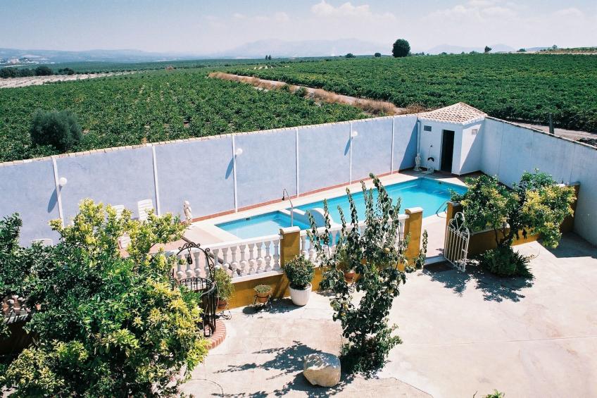 El Pintao ó La Corneja - foto 35