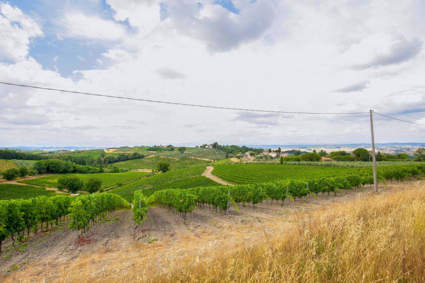 Il Poggiale-app6 - foto 17