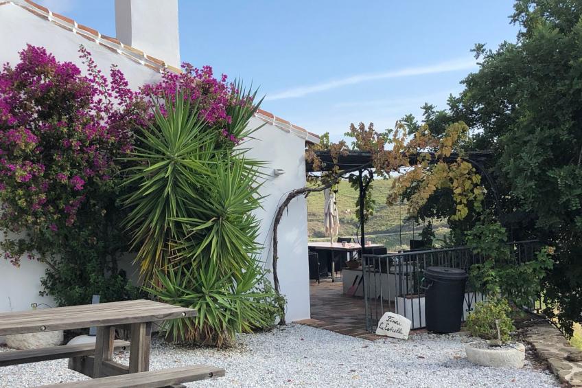 Finca "La Estrella de Cómpeta". - foto 39