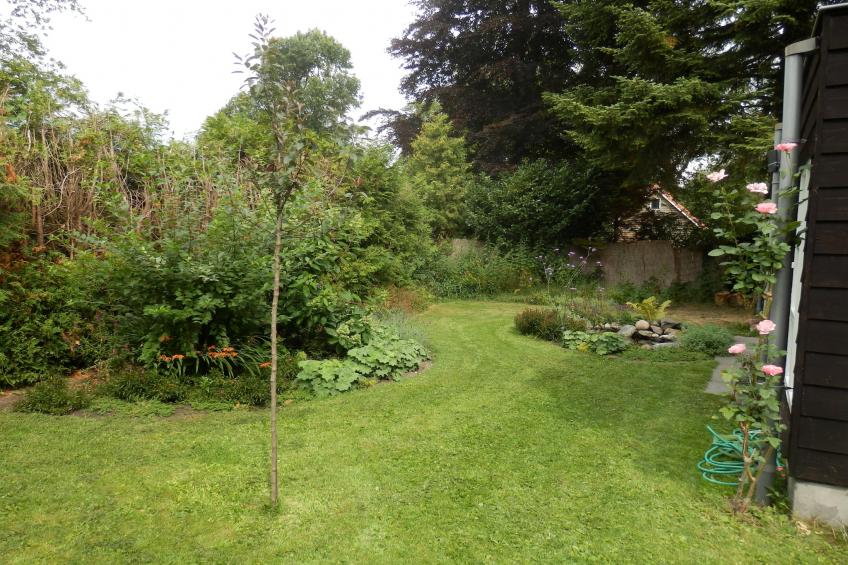 Vacation home Balkbrug - foto 14