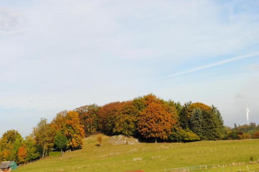 Haus Finger - foto 36