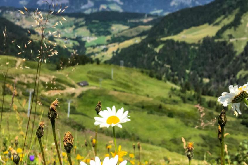 Résidence Les Alpages - foto 11