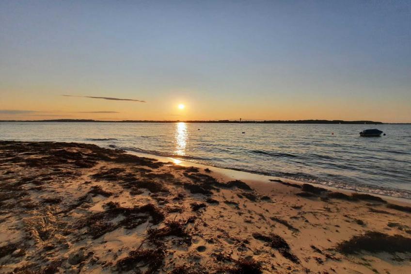 Single Room - Land Side Thor Heyerdahl - foto 25