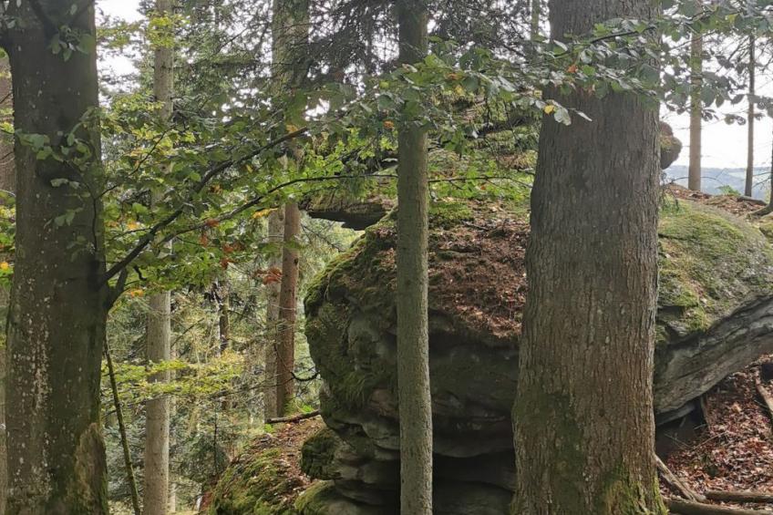 Apartment Lercher - foto 36