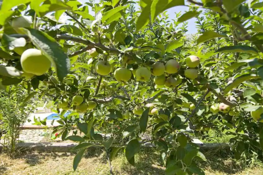 Three Bedroom Villa  With Private Pool - foto 46