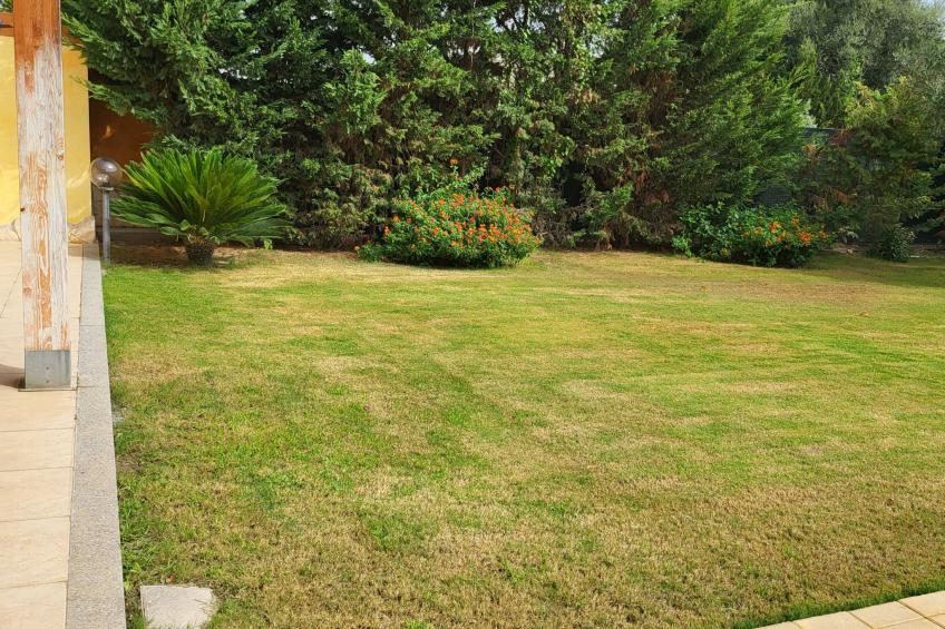 'Villa Vivi - foto 66