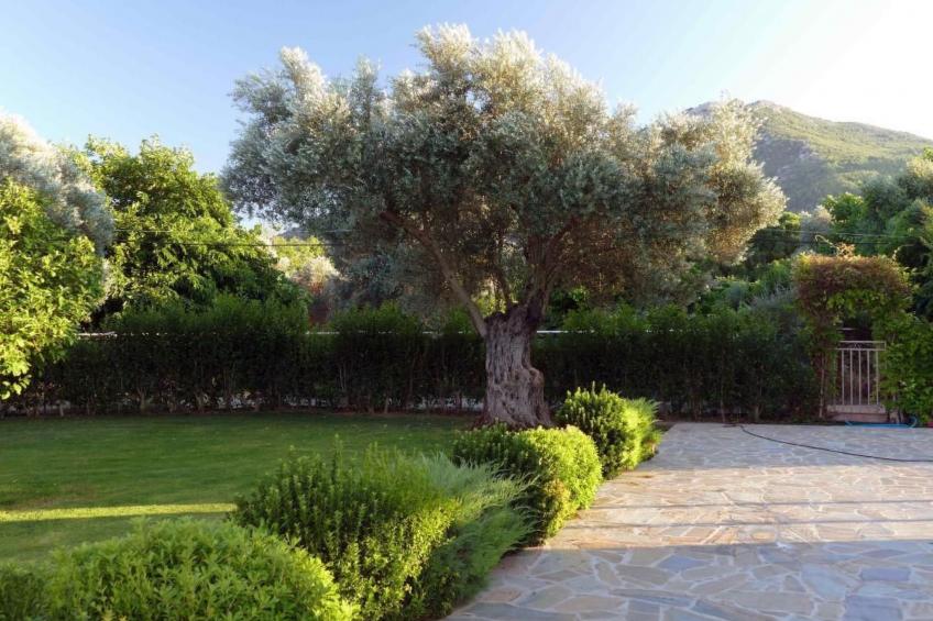 Esperides Ferien - foto 49