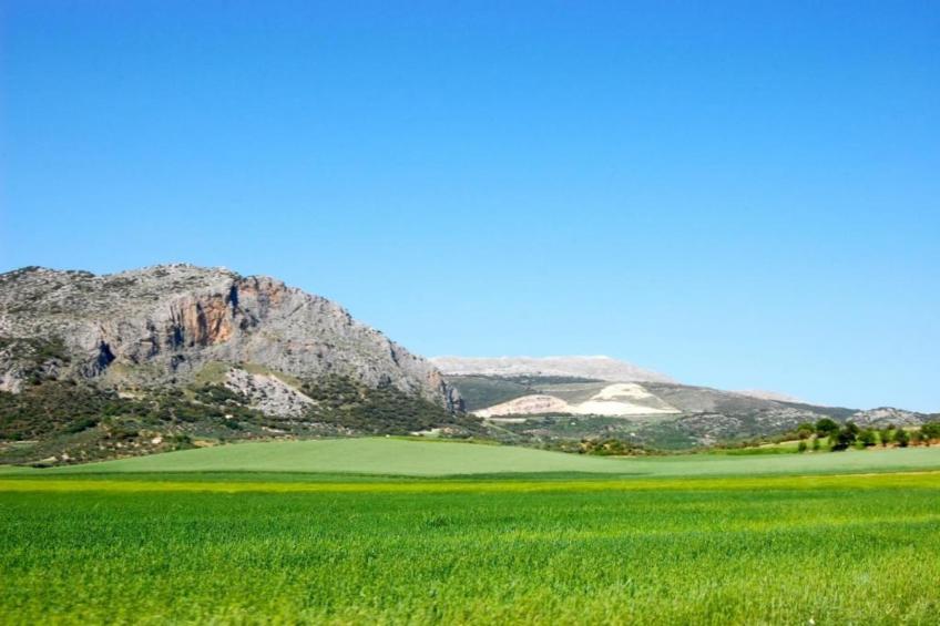 Cortijo Los Alazores - foto 27