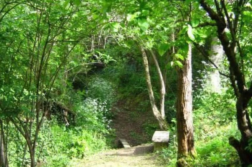 "Gite de Guillemat" - foto 24