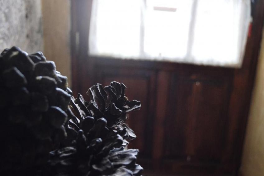 Landhaus Pepita la de las flores - foto 43