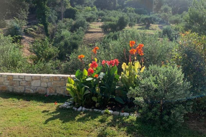 Villa Spirena - foto 24