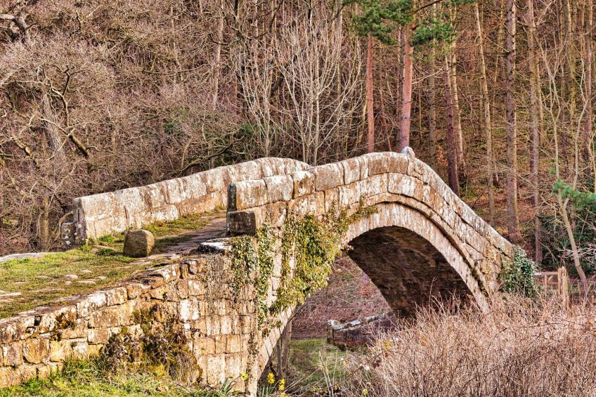 Ingleside Cottage - foto 7