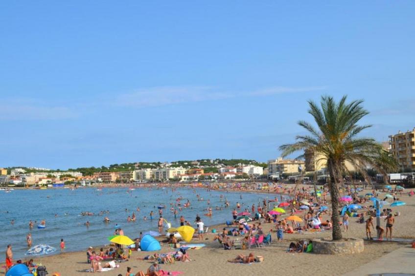 COSSIS 61B - foto 36