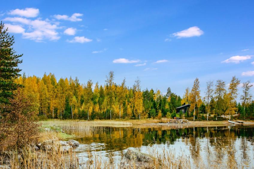 Tiira, loma-aution lomamökit - foto 29