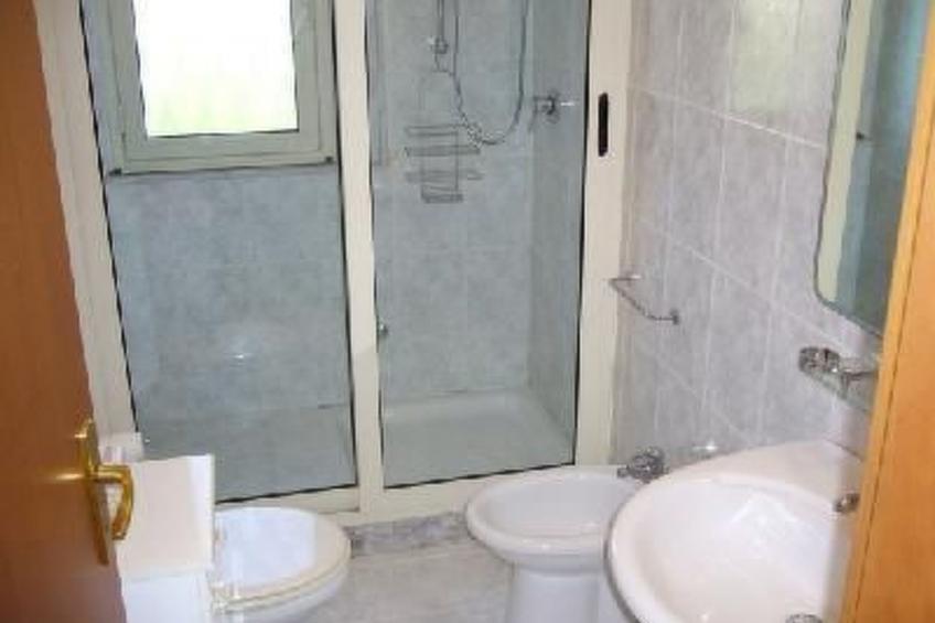 Cuore di Palme Bilo - foto 5